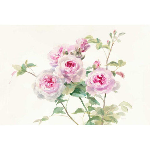 Sweet Roses on White Green Black Modern Wood Framed Art Print with Double Matting by Nai, Danhui