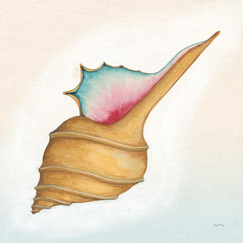 Boardwalk Murex Black Modern Wood Framed Art Print by DeNeige, Elyse