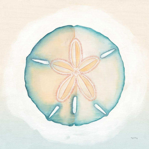 Boardwalk Sand Dollar White Modern Wood Framed Art Print by DeNeige, Elyse