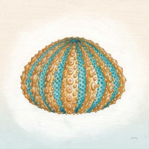 Boardwalk Urchin White Modern Wood Framed Art Print with Double Matting by DeNeige, Elyse