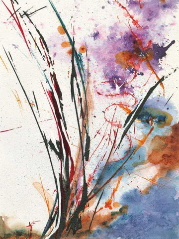 Floral Explosion IV Black Ornate Wood Framed Art Print with Double Matting by Griggs, Jan