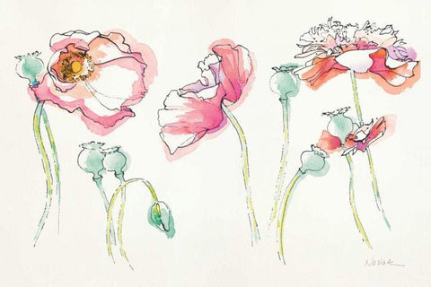 Pink Somniferums Bright White Modern Wood Framed Art Print with Double Matting by Novak, Shirley