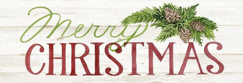 Holiday Sayings II on Wood Whitewash v2 Black Ornate Wood Framed Art Print with Double Matting by McKenna, Kathleen Parr