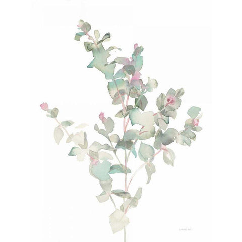 Eucalyptus II White White Modern Wood Framed Art Print by Nai, Danhui