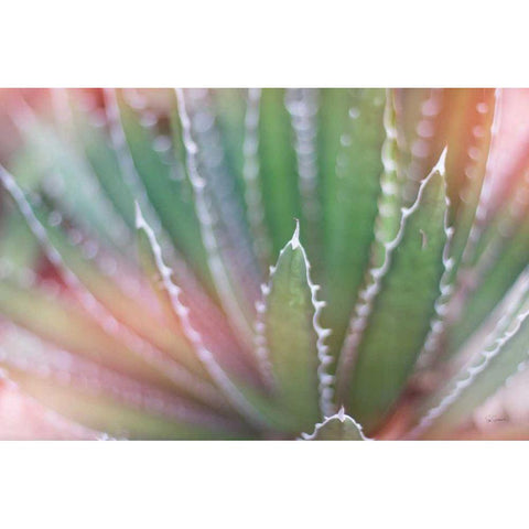 Dream Desert II Gold Ornate Wood Framed Art Print with Double Matting by Schlabach, Sue