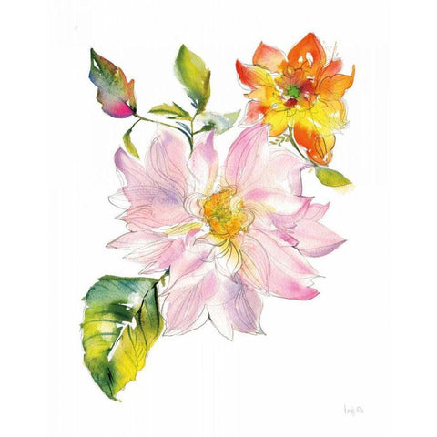 Dahlia Delight of the Day II Black Modern Wood Framed Art Print with Double Matting by Rice, Kristy