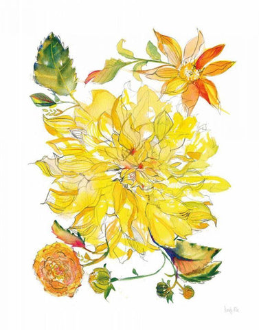 Dahlia Delight of the Day III White Modern Wood Framed Art Print with Double Matting by Rice, Kristy