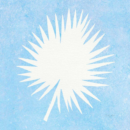 Image Only