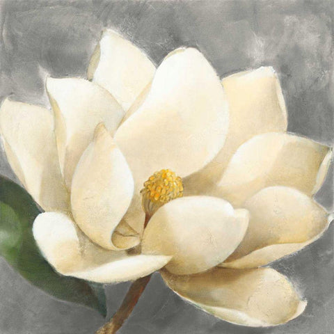 Magnolia Blossom on Gray White Modern Wood Framed Art Print by Hristova, Albena