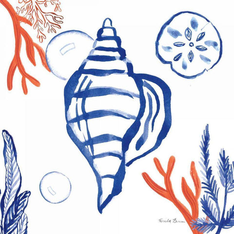 Coastal Jewels II White Modern Wood Framed Art Print with Double Matting by Zaman, Farida