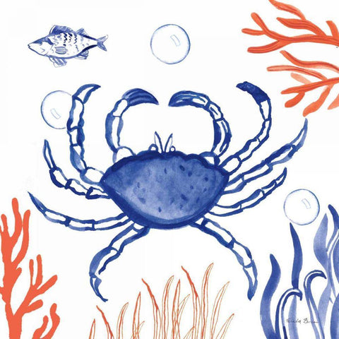 Coastal Jewels V White Modern Wood Framed Art Print with Double Matting by Zaman, Farida