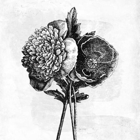 Spa Botanical III BW Black Modern Wood Framed Art Print by Pertiet, Katie
