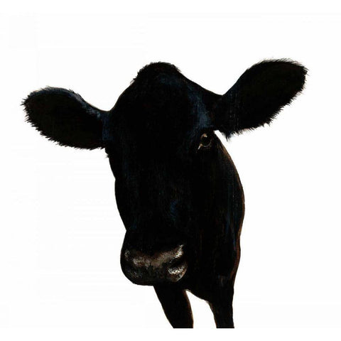 Farm Team III no Background Black Modern Wood Framed Art Print with Double Matting by Ducklow, Patsy