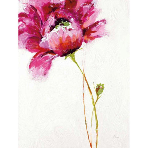 Big Red Blossom on White Gold Ornate Wood Framed Art Print with Double Matting by Griggs, Jan