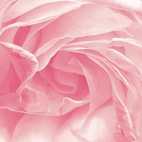 Georgia Pink White Modern Wood Framed Art Print by Bevan, Keri