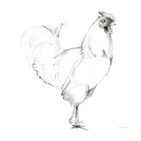 Rooster II Dark Square White Modern Wood Framed Art Print by Tillmon, Avery