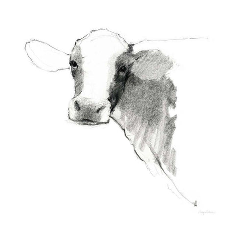 Cow II Dark Square White Modern Wood Framed Art Print by Tillmon, Avery