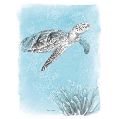 Coastal Sea Life I Black Modern Wood Framed Art Print by Grove, Beth