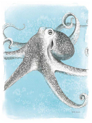 Coastal Sea Life II White Modern Wood Framed Art Print with Double Matting by Grove, Beth