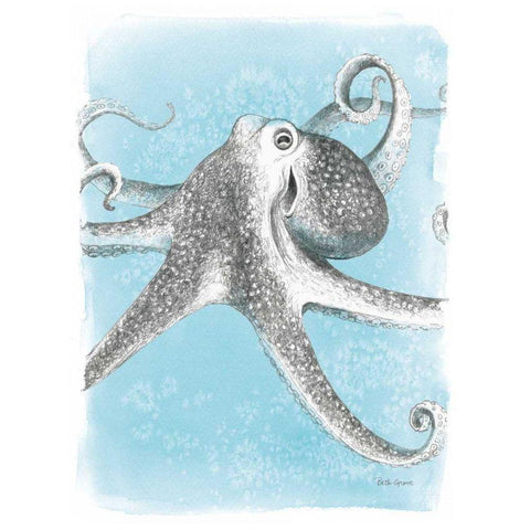 Coastal Sea Life II Black Modern Wood Framed Art Print by Grove, Beth