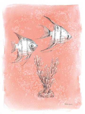Coastal Sea Life III White Modern Wood Framed Art Print with Double Matting by Grove, Beth