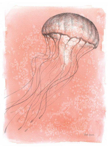 Coastal Sea Life IV Black Ornate Wood Framed Art Print with Double Matting by Grove, Beth