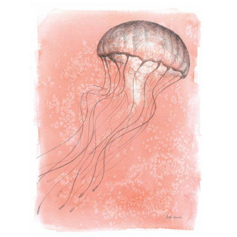 Coastal Sea Life IV Black Modern Wood Framed Art Print by Grove, Beth