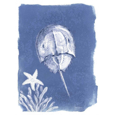 Coastal Sea Life VI White Modern Wood Framed Art Print by Grove, Beth
