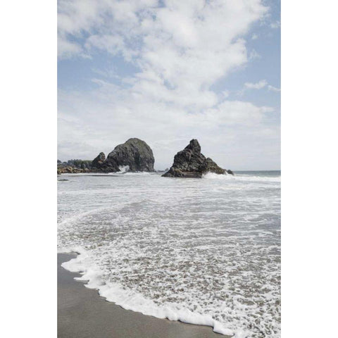 Harris Beach Oregon Black Modern Wood Framed Art Print by Audit, Lisa