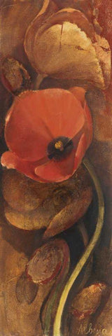 Tulip Shadow III White Modern Wood Framed Art Print with Double Matting by Hristova, Albena