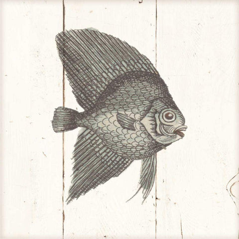 Fish Sketches III Shiplap Gold Ornate Wood Framed Art Print with Double Matting by Wild Apple Portfolio