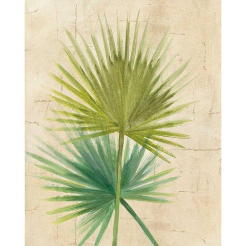 Fan Palm White Modern Wood Framed Art Print by Hristova, Albena