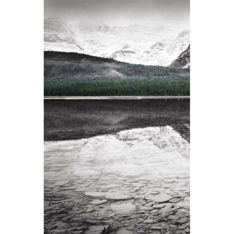 Waterfowl Lake Panel I BW with Color Black Modern Wood Framed Art Print with Double Matting by Audit, Lisa