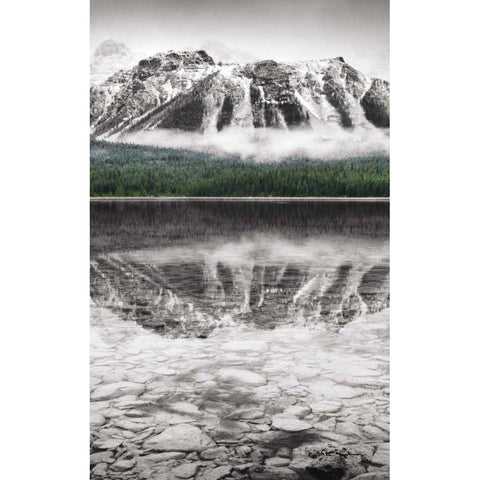 Waterfowl Lake Panel II BW with Color Gold Ornate Wood Framed Art Print with Double Matting by Audit, Lisa