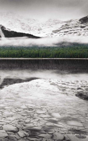 Waterfowl Lake Panel III BW with Color White Modern Wood Framed Art Print with Double Matting by Audit, Lisa