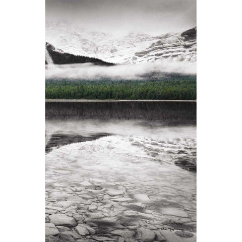 Waterfowl Lake Panel III BW with Color Black Modern Wood Framed Art Print with Double Matting by Audit, Lisa