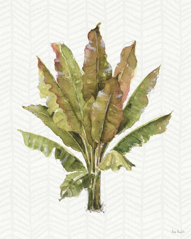Mixed Greens IX White Modern Wood Framed Art Print with Double Matting by Audit, Lisa