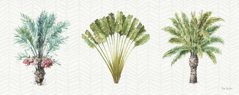 Mixed Greens XVI White Modern Wood Framed Art Print with Double Matting by Audit, Lisa