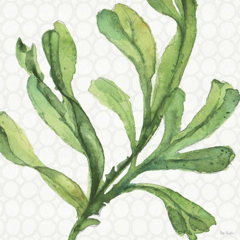 Mixed Greens XIX White Modern Wood Framed Art Print with Double Matting by Audit, Lisa