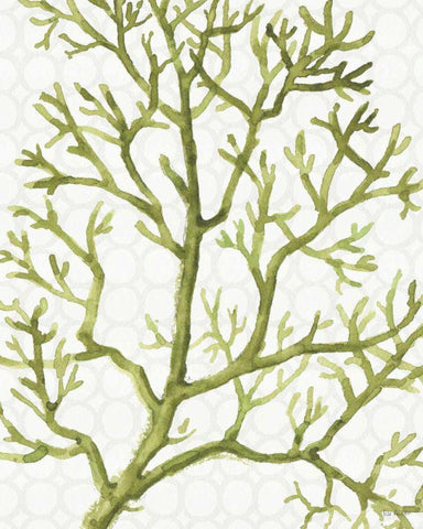 Mixed Greens XXV White Modern Wood Framed Art Print with Double Matting by Audit, Lisa