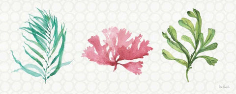 Mixed Greens XXXI Black Ornate Wood Framed Art Print with Double Matting by Audit, Lisa