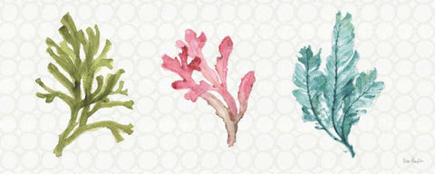 Mixed Greens XXXII White Modern Wood Framed Art Print with Double Matting by Audit, Lisa