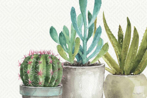 Mixed Greens XXXIV Black Ornate Wood Framed Art Print with Double Matting by Audit, Lisa