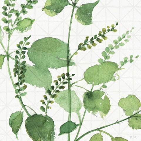 Mixed Greens LIII White Modern Wood Framed Art Print with Double Matting by Audit, Lisa