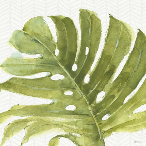 Mixed Greens LXXI Black Modern Wood Framed Art Print with Double Matting by Audit, Lisa