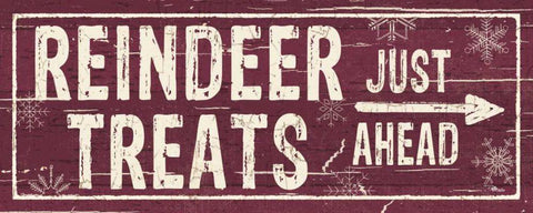 Christmas Signs III White Modern Wood Framed Art Print with Double Matting by Pela Studio