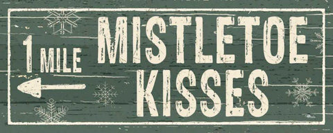Christmas Signs IV Black Ornate Wood Framed Art Print with Double Matting by Pela Studio