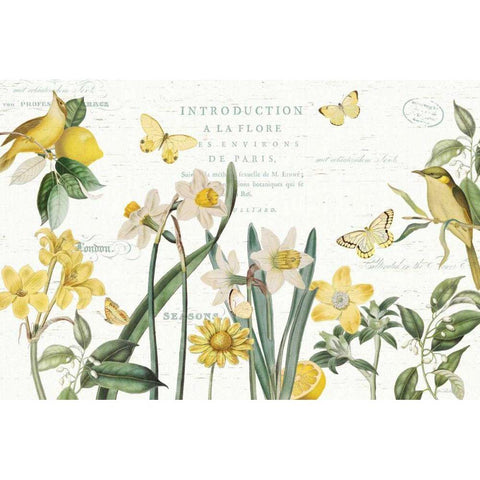 Citron Curiosities I Gold Ornate Wood Framed Art Print with Double Matting by Pertiet, Katie