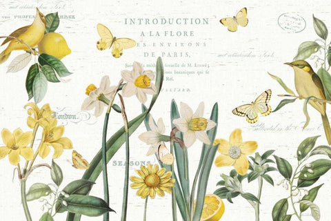 Citron Curiosities I White Modern Wood Framed Art Print with Double Matting by Pertiet, Katie