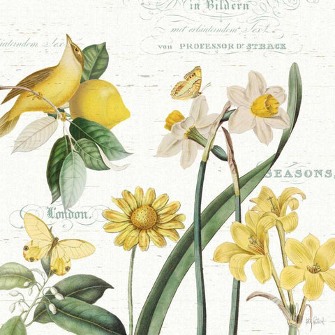 Citron Curiosities II White Modern Wood Framed Art Print by Pertiet, Katie